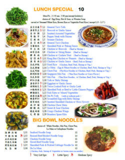 Cheng Du 23 Chinese Lunch Specials in Wayne NJ