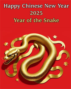 Happy New Year - 2025 Year of the Snake